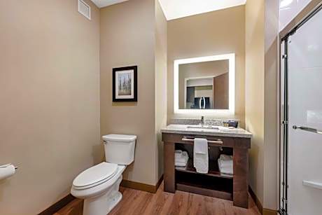 King Suite with Chaise and Kitchenette - Communication Assistance/Non-Smoking