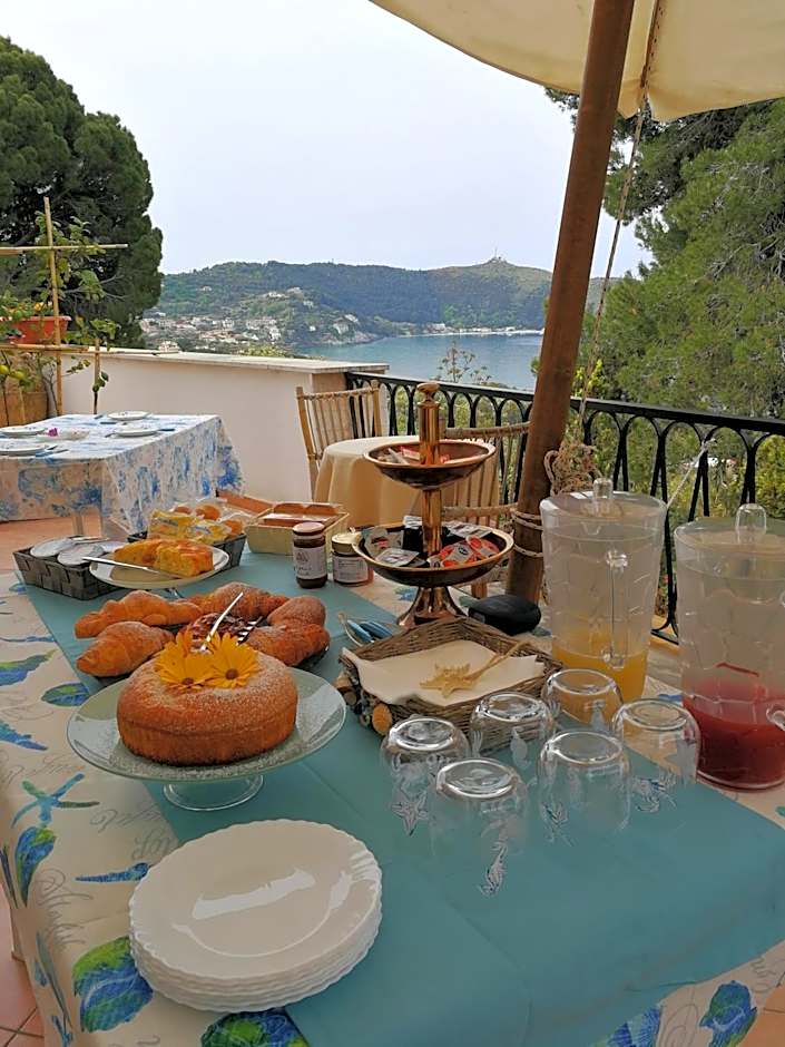 Il Sogno di Vincenzo e Maria