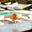 Boutique Hôtel Villa Fabulite