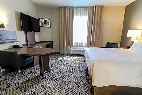 Studio Queen Suite