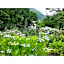Sudomari no Yado Sunmore - Vacation STAY 46722v