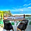HOTEL MITTOZ HOLBOX