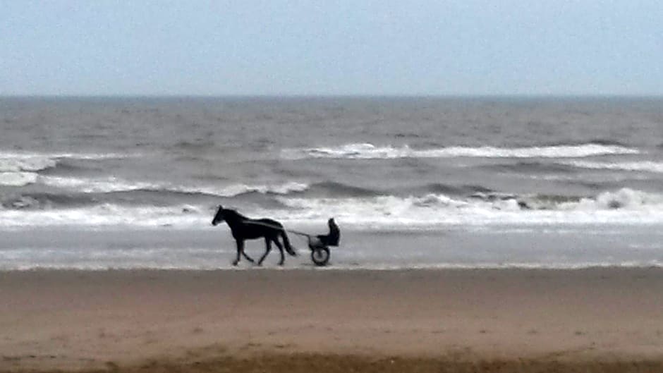 B&B Noordwijk Binnen