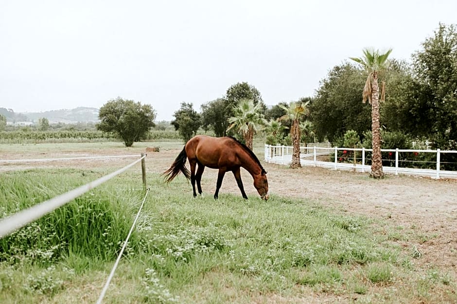 Quinta do Pinheiro Hotel Rural - GQL