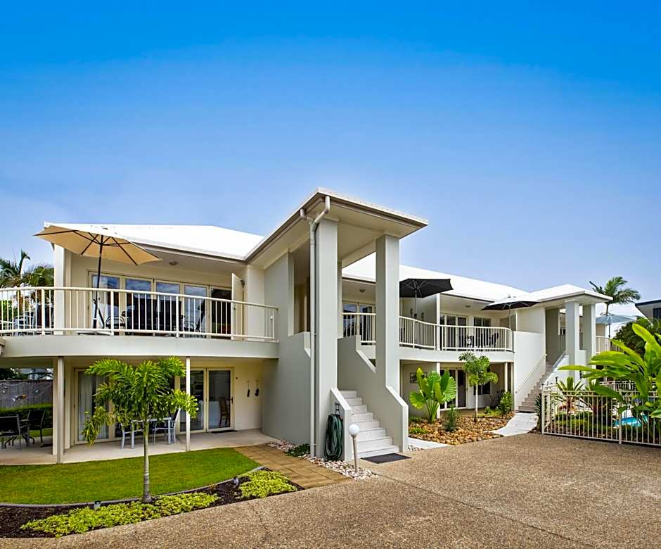 Noosa River Palms