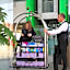 Holiday Inn Express Guadalajara Expo By IHG