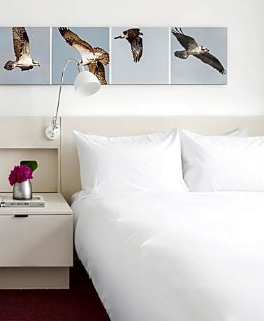 City Queen Room