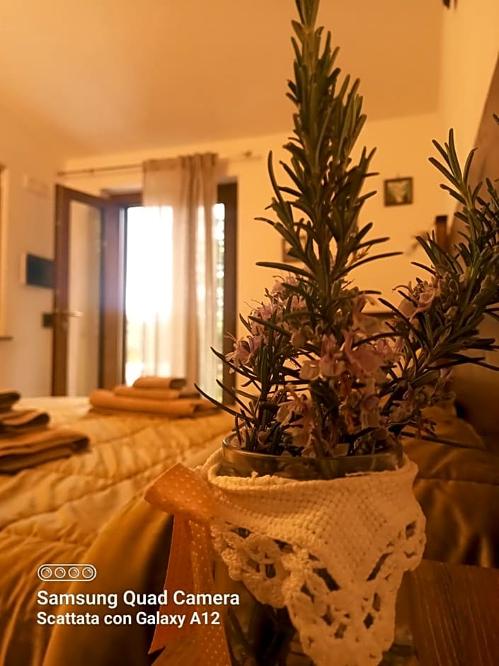 B&B da Maria Teresa - Maratea