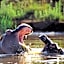 Kariega Game Reserve Ukhozi Lodge