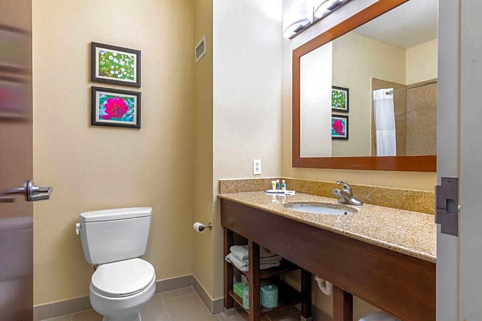 Comfort Suites