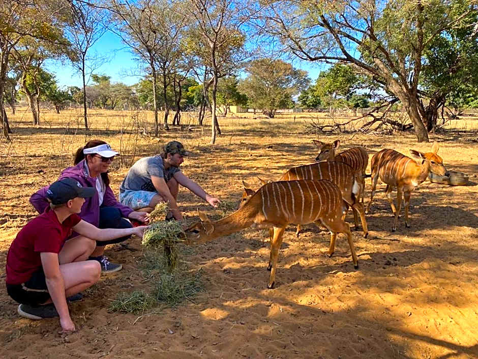 Kigeni Safari Lodge & Spa