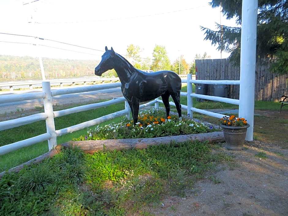 La maison sous les arbres