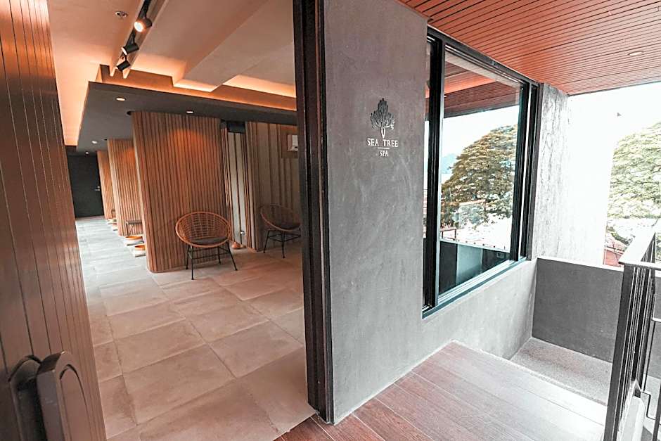 The Funny Lion - El Nido