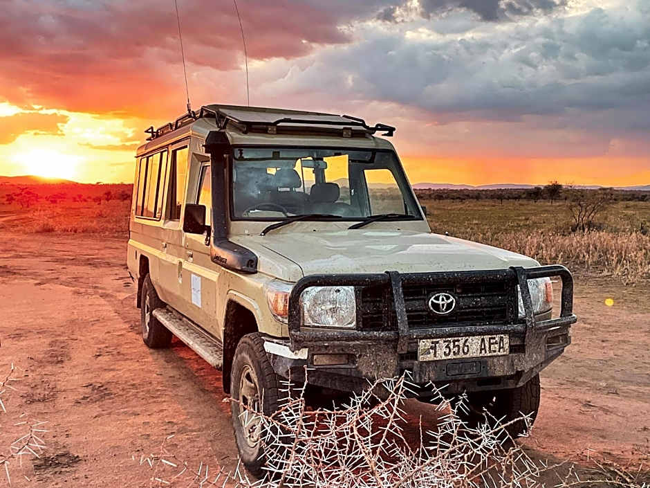 Foresight Eco Lodge & Safari