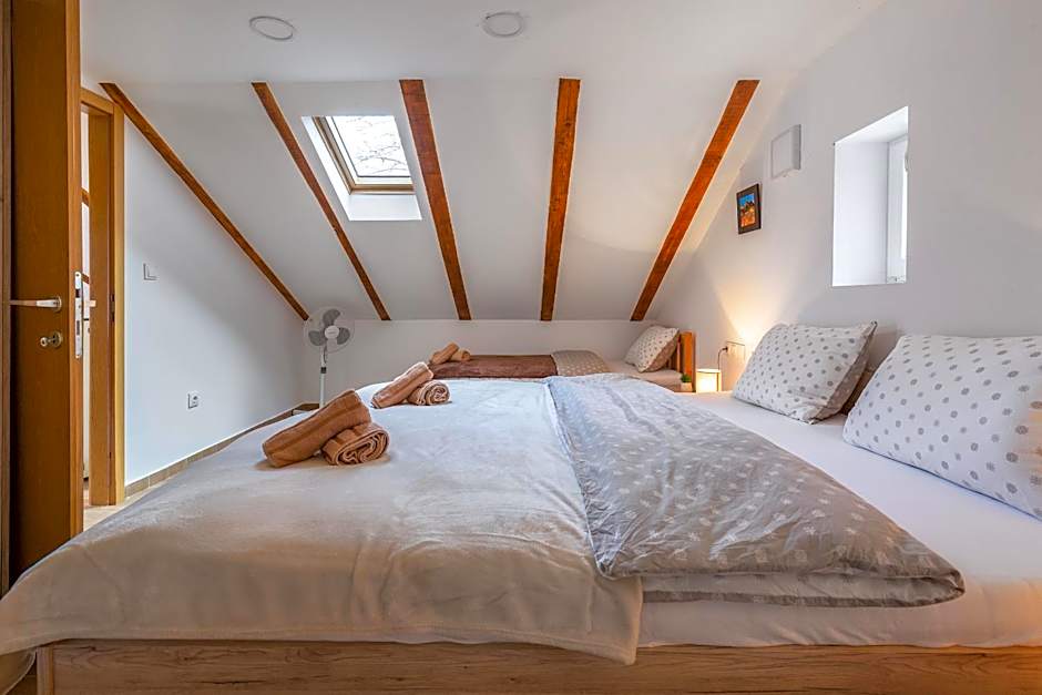 SOKOL - Secret forest house