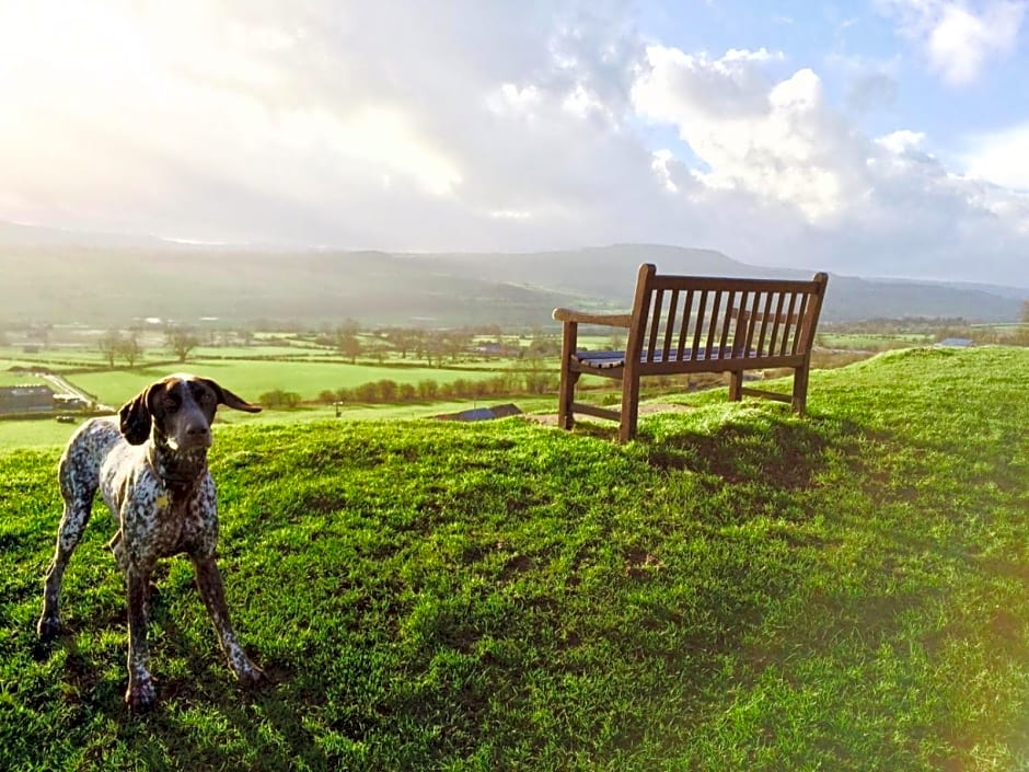 The Old Chapel Leyburn