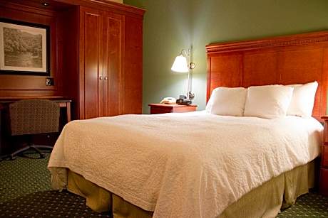 1 King Bed W/Fridge/Microwave Nonsmoking