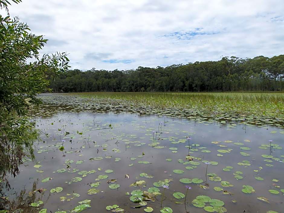 Lake Russell Lakeside Retreat