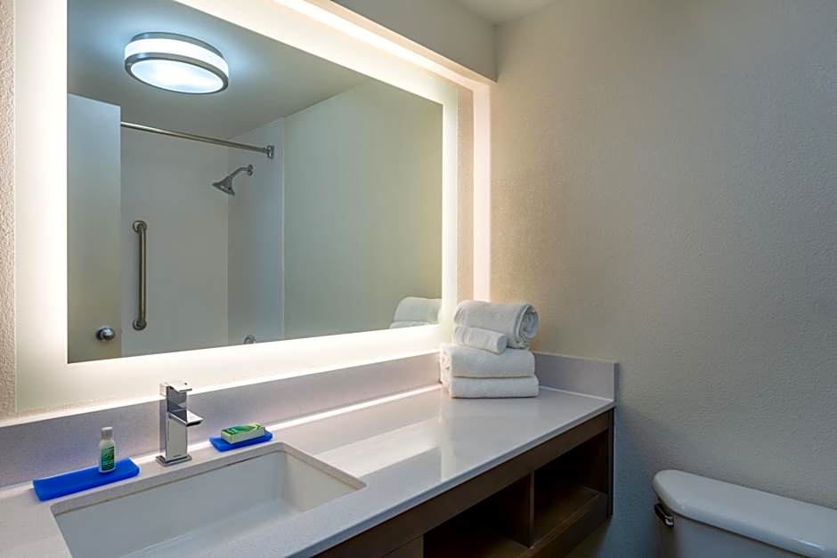 Holiday Inn Express Hotel & Suites Philadelphia - King of Prussia by IHG