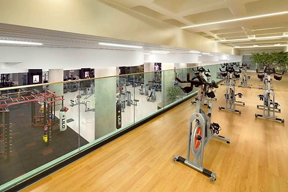 Ramada Plaza by Wyndham Istanbul Asia Airport