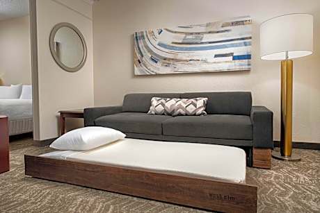 Studio Suite, 1 King Bed with Sofa bed (Mobility/Hearing Accessible, Tub)