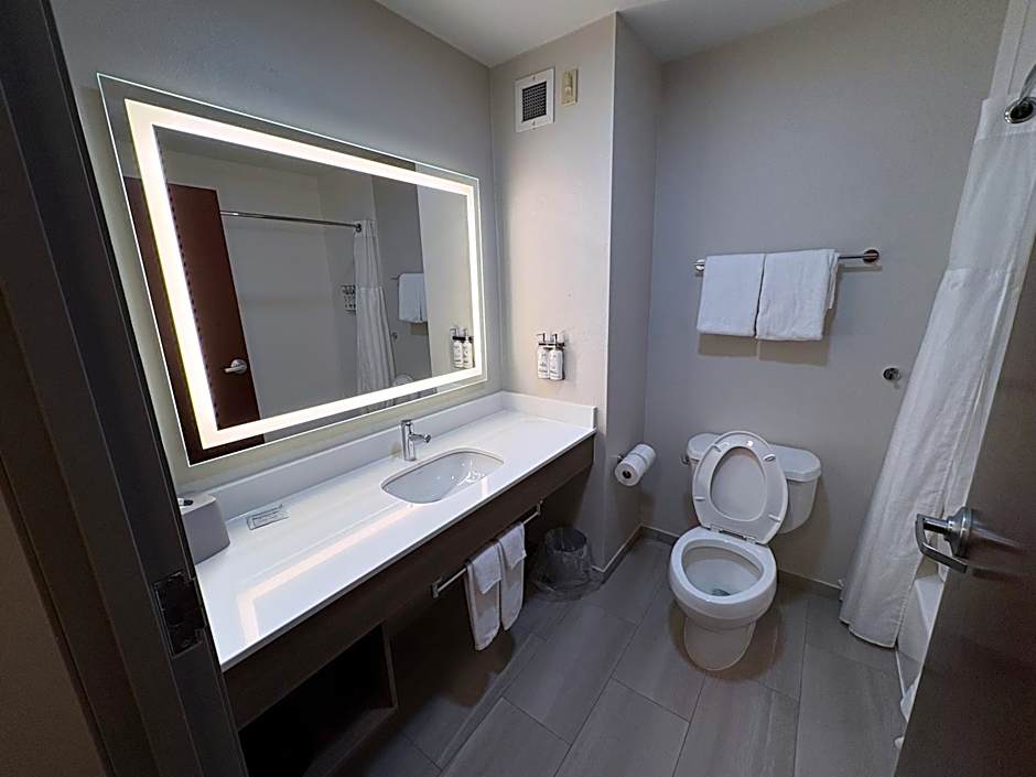 Holiday Inn Express Hotel & Suites Lafayette By IHG