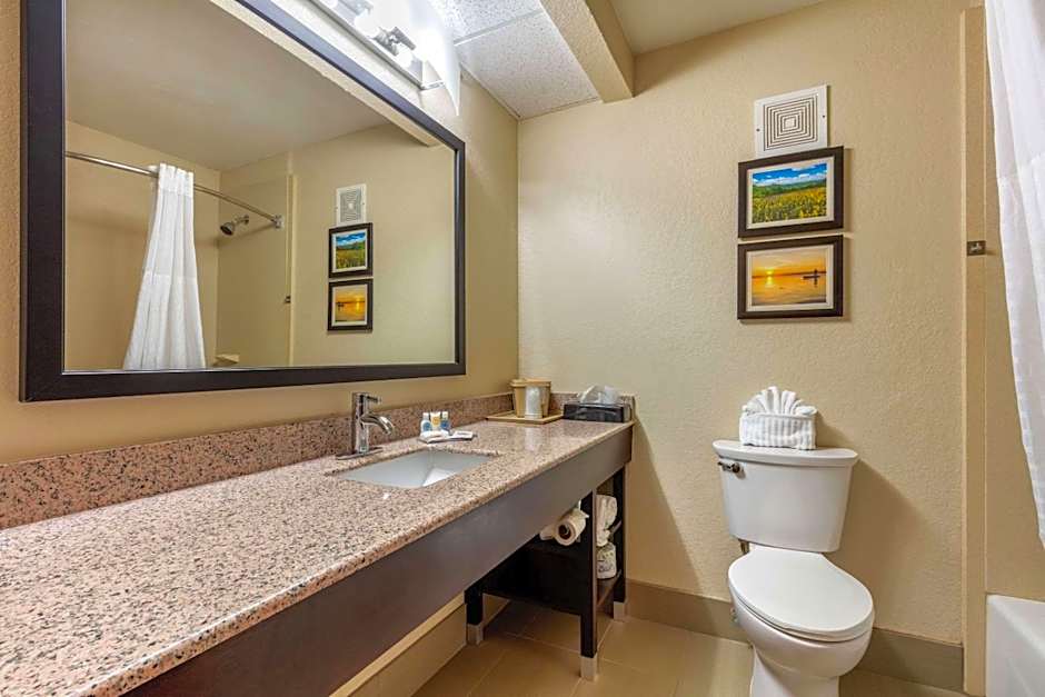 Comfort Inn Lenoir City-Knoxville