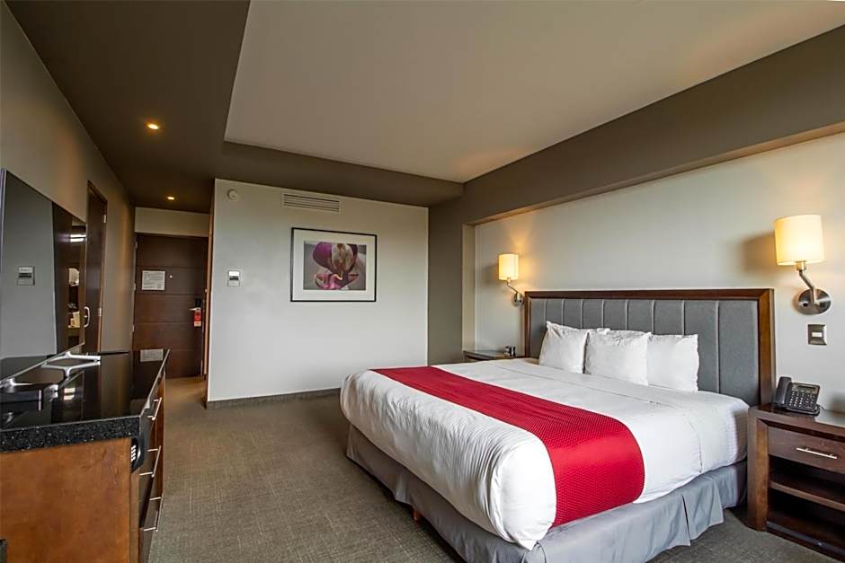 Best Western Plus Santa Cecilia Pachuca