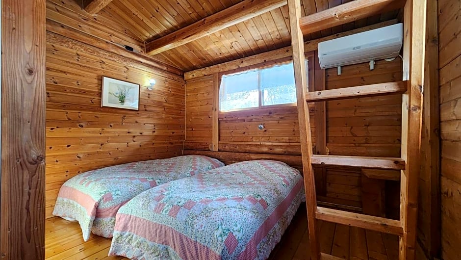 Log Pension Tomsoya