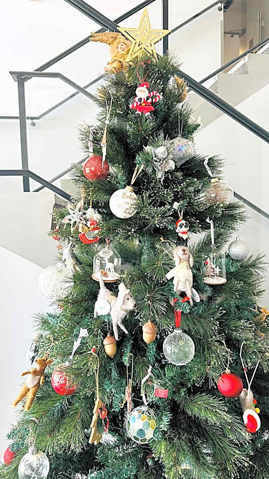 BKs Premier Motel Hamilton