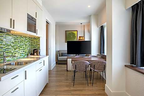One Bedroom Suite Deluxe, 1 Bedroom Deluxe Apartment, 1 King, Non-Private Sofa bed, Urban view
