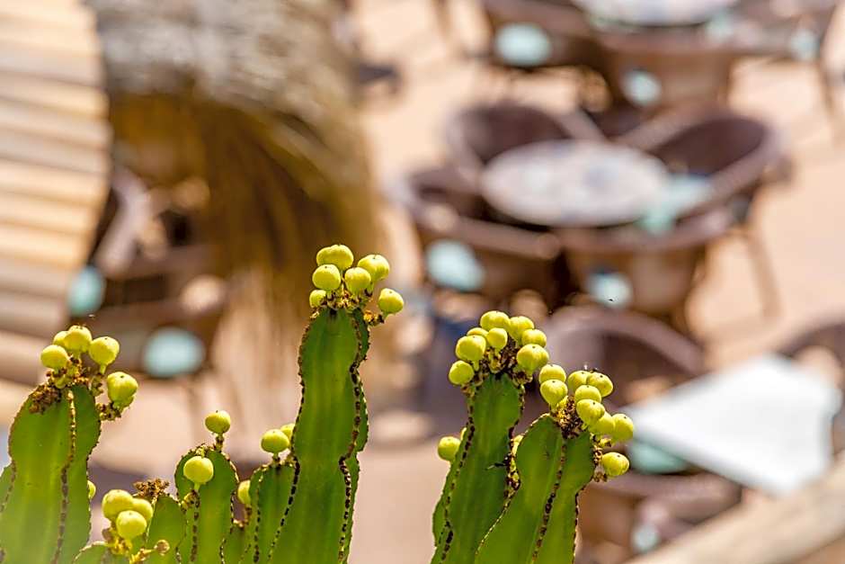 Hotel Playas de Paguera