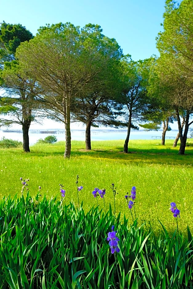 Au bord de Thau