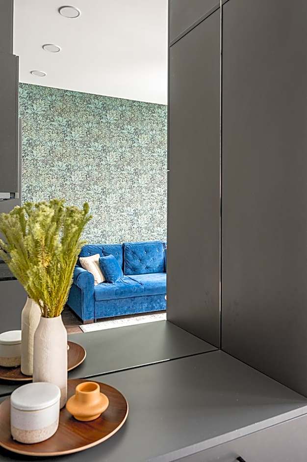 Vilnius Old-Town Renaissance Studios