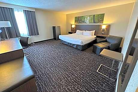 1 King Bed Suite Non-Smoking