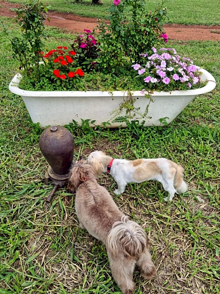 Pousada Águas da Canastra