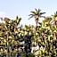Miramare Hotel