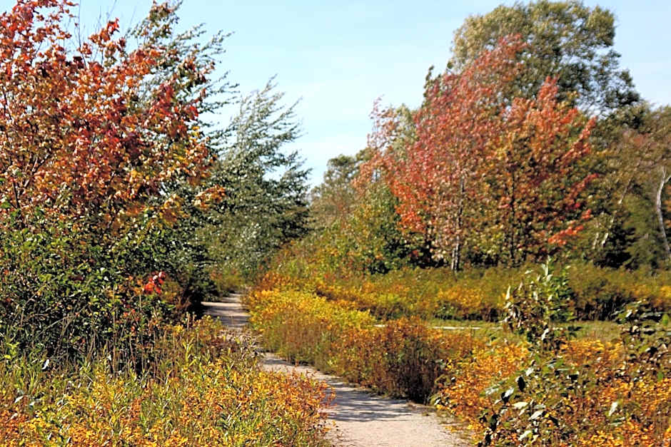 Deer Lake Horizon Hotel