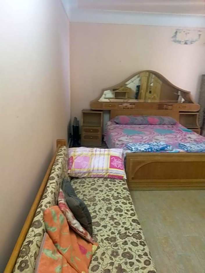 alexandria agamy betash