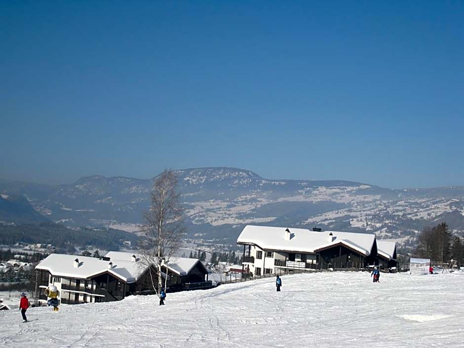 Alpin Apartments Solsiden
