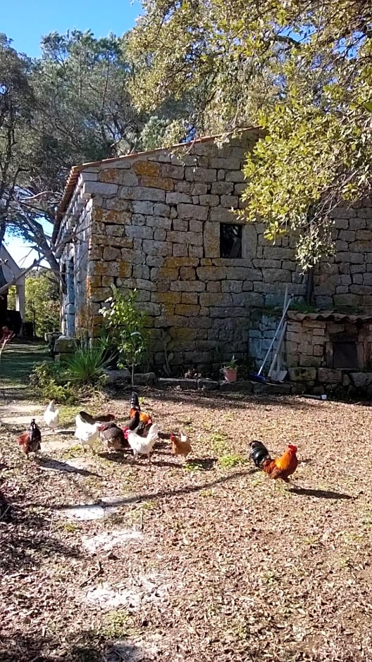 Agriturismo La Vigna