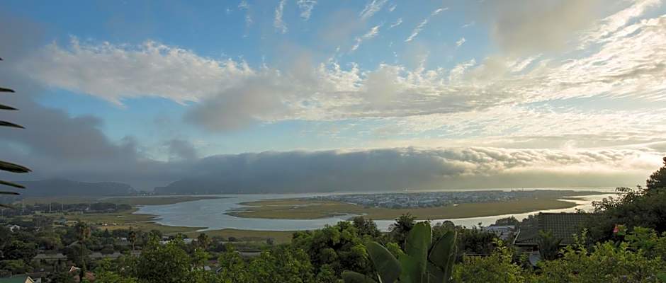 Big Tree House Lodge
