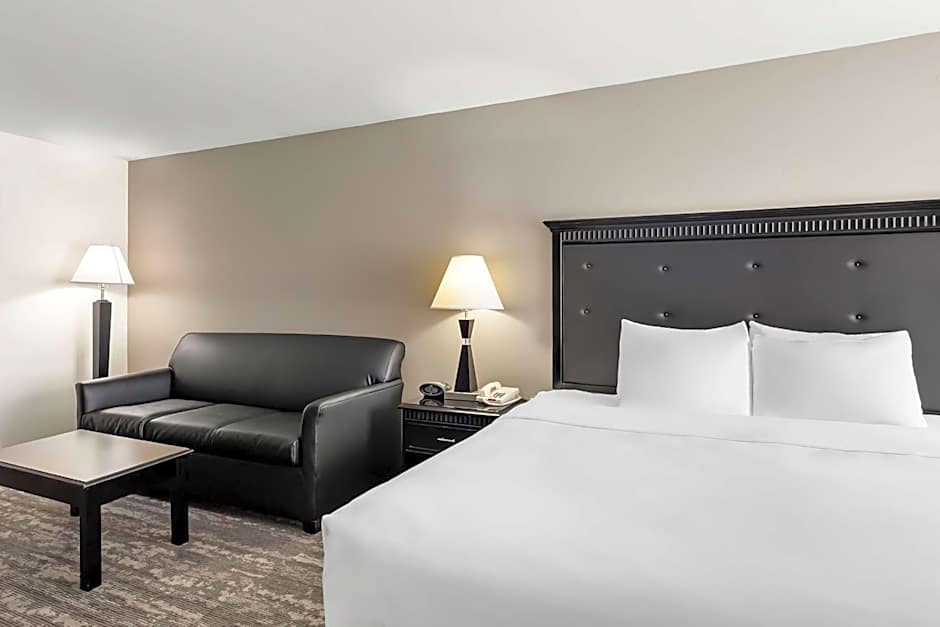 Best Western Saluki Inn