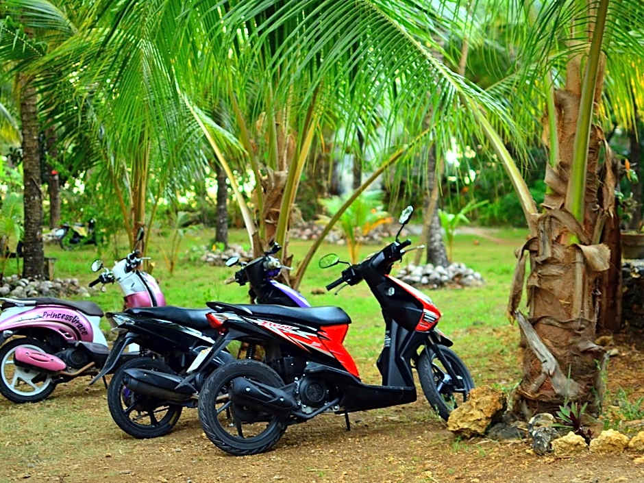 Toris Backpackers Paradise