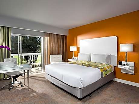 King Room with Garden View