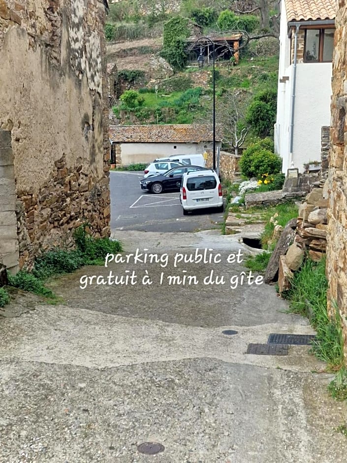 Le camélia de la mazarié