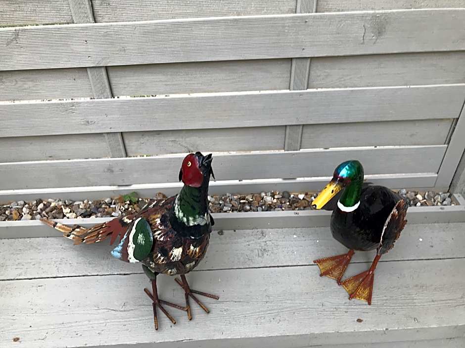 Old Thatch Bambers Green