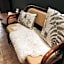 Simply rooms