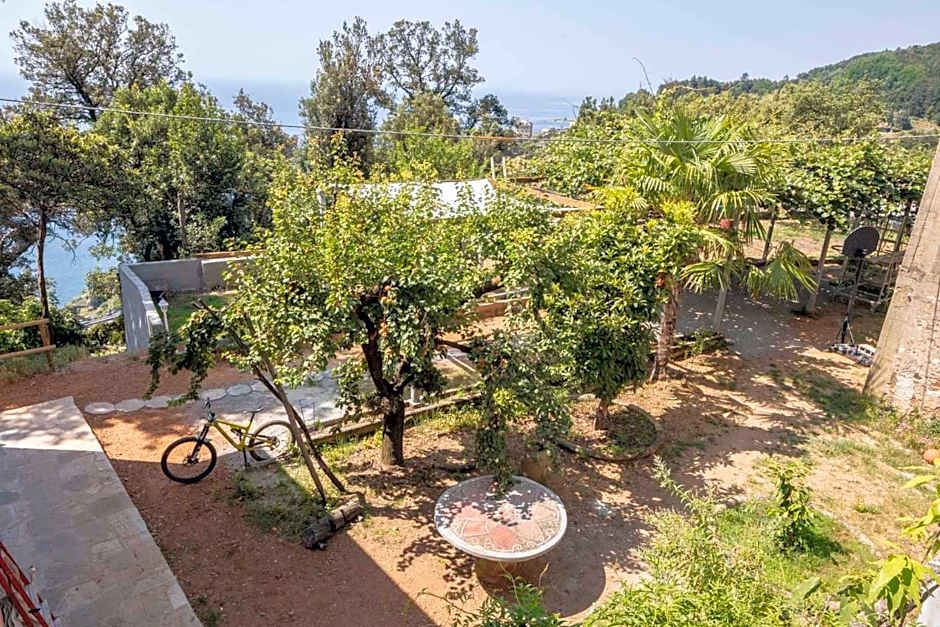 La BRIGNA B&B Il bosco sul mare