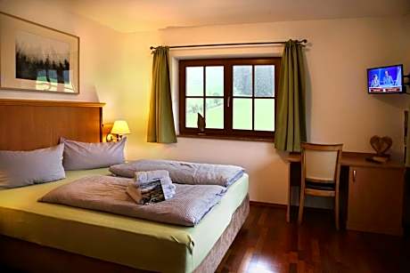 Die Filzmooserin - smart living apartments in Ski amadé, Filzmoos Card inklusive